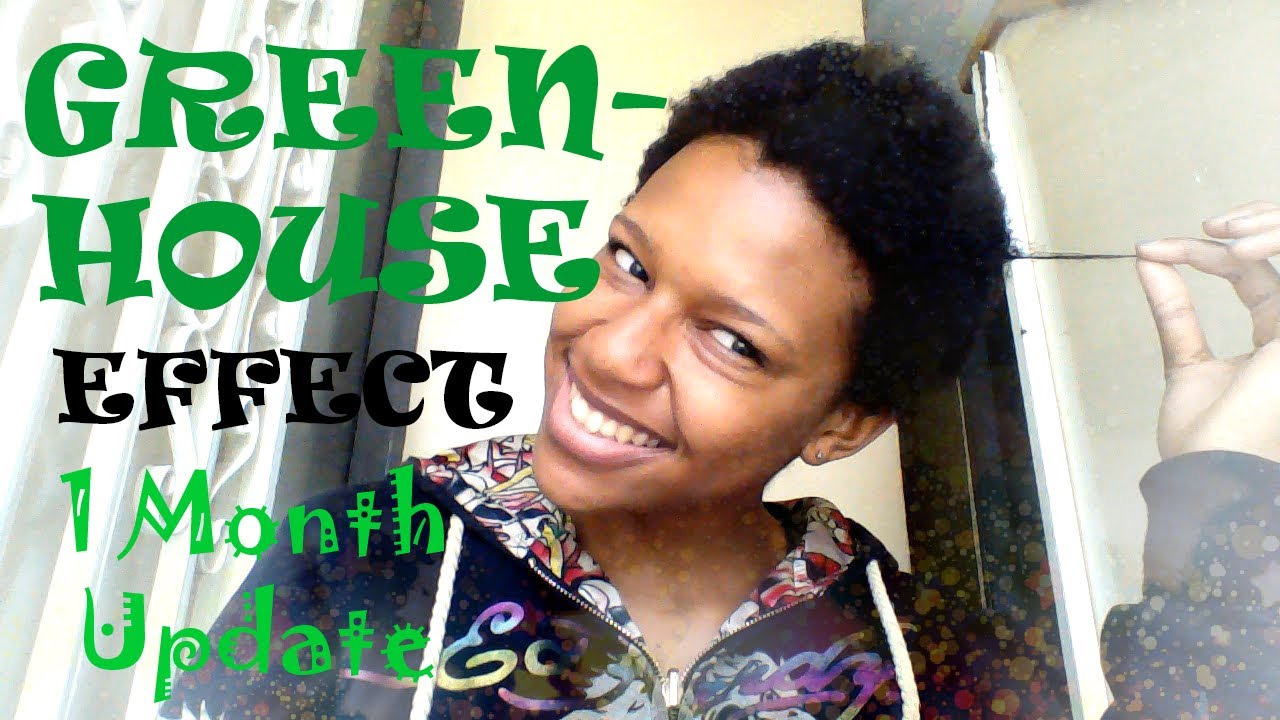 Greenhouse Effect Growth Challenge Update 1 Month Youtube