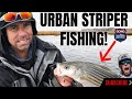 Urban Fishing at its BEST!!