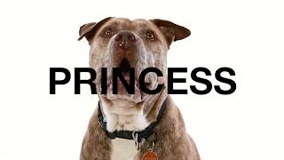 Adopt Princess at NKLA