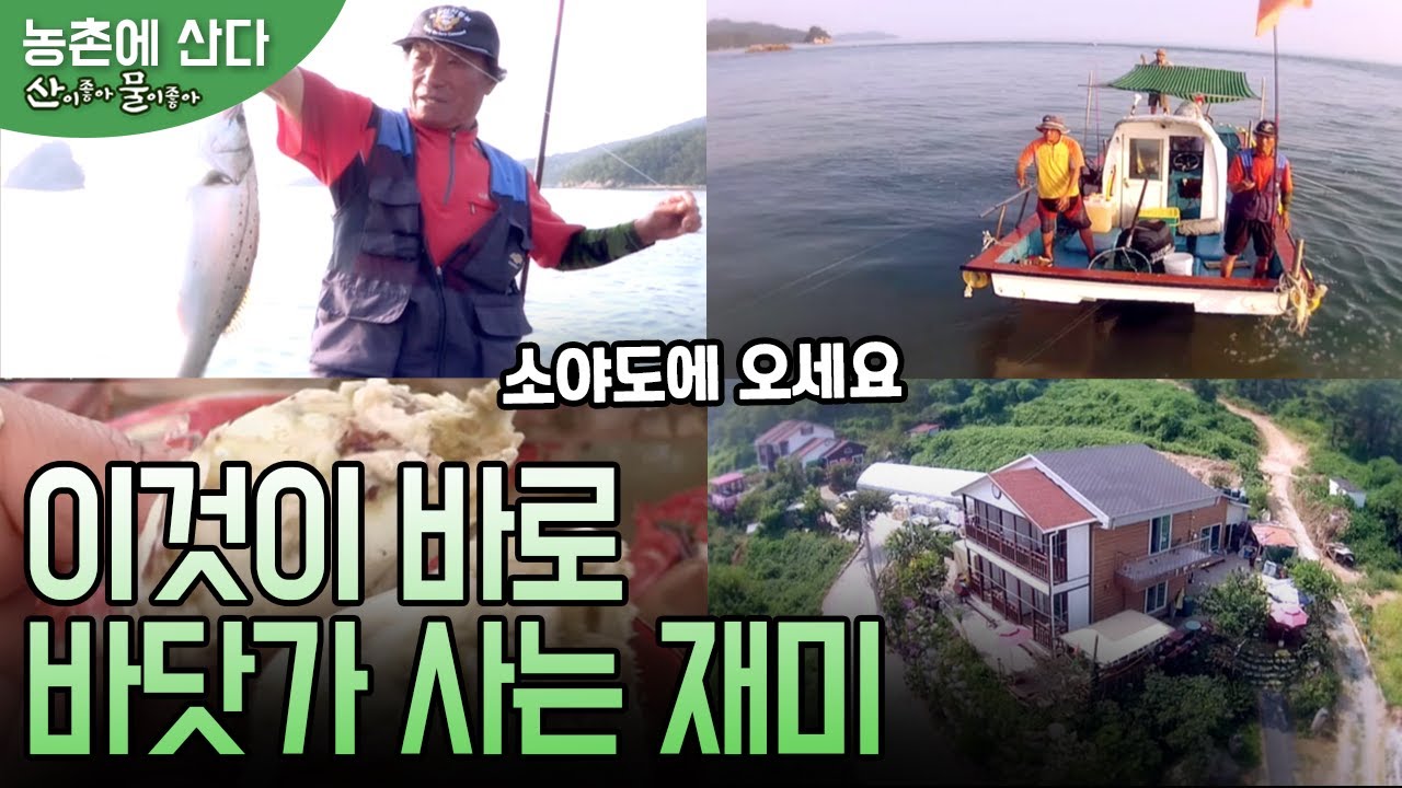 청정 갯벌이 아름다운 섬, 소야도 사람들의 이야기