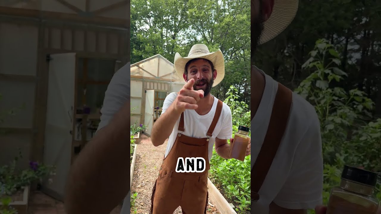5 Silly Garden Hacks That Actually Work Part 2