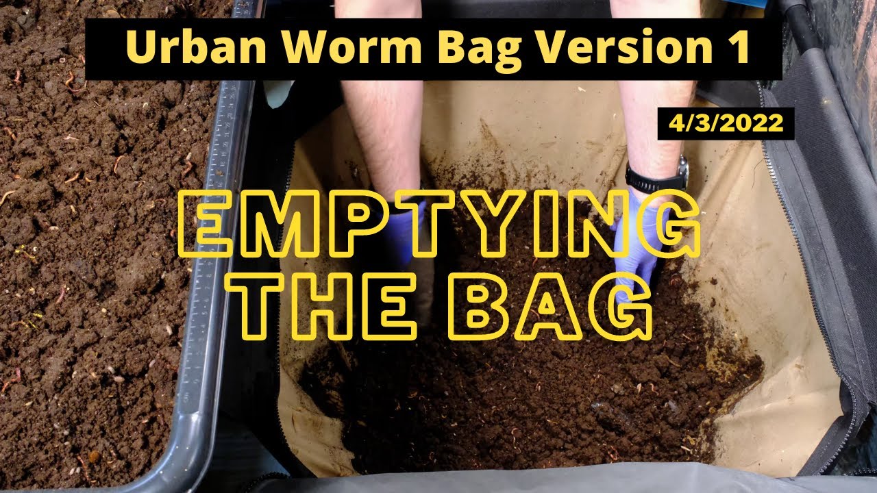 Urban Worm Bag Version 1 - Emptying the Bag 04/03/2022 