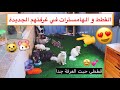 نقلت القطط و الهامسترات لغرفتهم الجديدة 😍 شوفوا ردة فعل قطتي الملكه 😂 / Mohamed Vlog