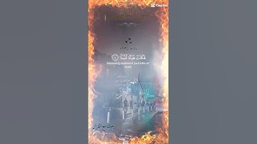 تلاوة خاشعة عطرة مبكية حزينة مباركة جميلة عذبة للشيخ سعد الغامدي ماتيسر من سورة الواقعة
