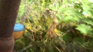 WP 20150501 001