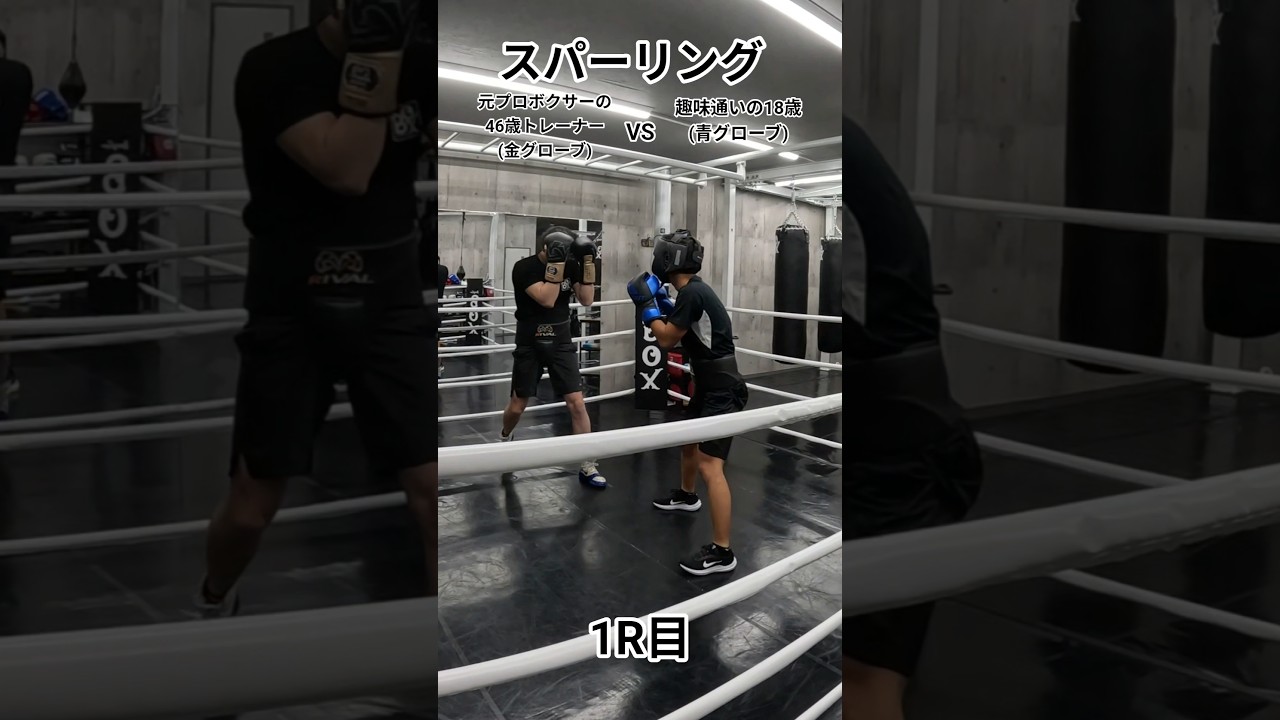 趣味で週1通いの18歳(青グローブ)VS元プロボクサーの46歳トレーナー(金グローブ)のスパーリング1R目