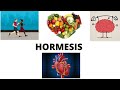 What is hormesis  ii how mild to moderate stress helps us 