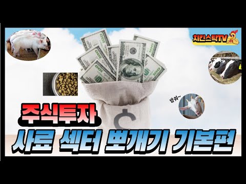   주식투자 사료섹터 뽀개기 기본편