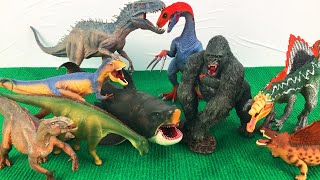 Cá mập Megalodon đại chiến với King Kong khủng long bạo chúa V-Rex khủng long mới mở hộp và review