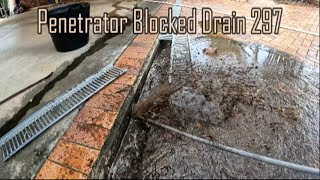 Blocked Drain 297 - Mud | Glass | Tree Roots | Toads | DC 38