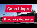 Шарм эль Шейх 2020. 4-5 декабря. Отель Сива. В гостях у бедуинов. Погода и море.