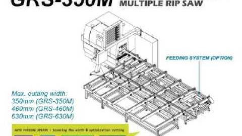 350M OPTIMIZING MOVABLE MULTIPLE RIP SAW + FEEDING SYSTEM