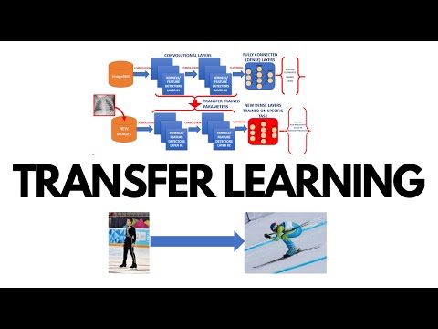 What is Transfer Learning?