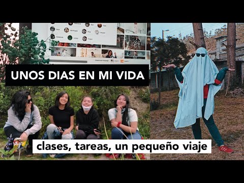 VLOG ✨| Una semana en mi vida pt2| cursos, más papeles, un viajesito bien lejos