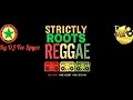 Roots Reggae & Dub Selection | Positive Teachings | Strictly Roots Reggae Mix | By DJ Tee Spyce