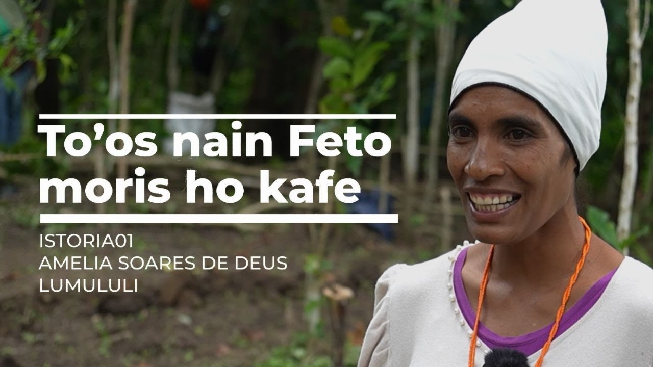 COCAMAU Programa Hadia Toos-Kafe【Istoria-1】Toos nain Feto moris ho kafe ...