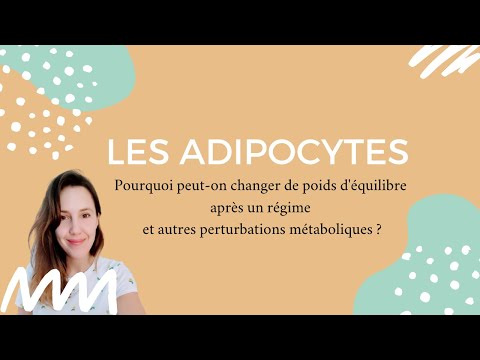 Vidéo: Quand les adipocytes grossissent ?