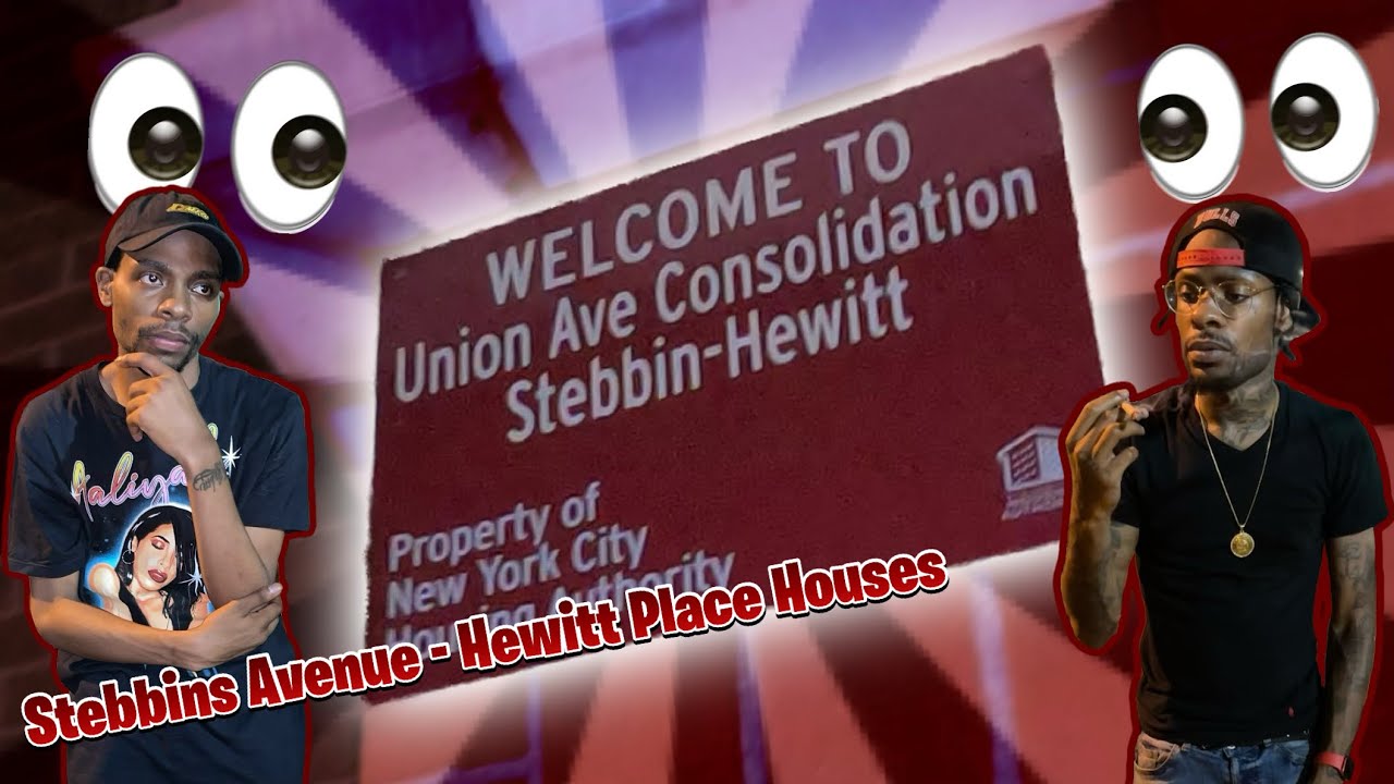 INSIDE STEBBINS AVENUE HEWITT PLACE PROJECTS (BRONX) YouTube