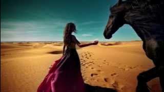 STING & CHEB MAMI - DESERT ROSE