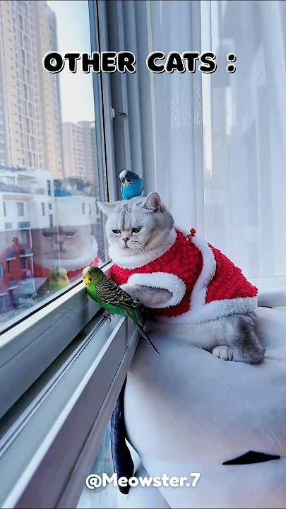 My Cat vs AI Chaos Mode #cats #kitten #pets #animals #cute #epic #funny #fun