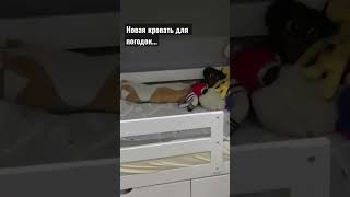 В новом Влоге приехала новая кровать в детскую🥳#детскаякомната #двухэтажнаякровать #p_online