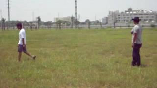 990516灰鸚放飛15.AVI