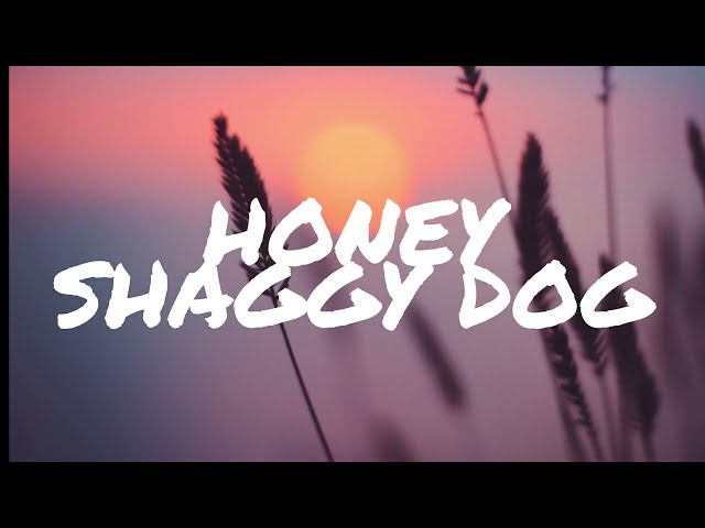 Shaggydog - Honey (Video Lirik) class=