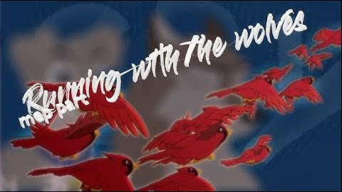 Running with the wolves - Animash mep - part 10 - call of the wild