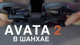 Dji Avata 2 Распаковка | Полет на дроне FPV |  Врезался в дерево