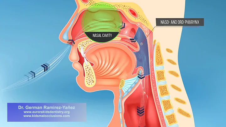 Mouth Breathing in Children from Dr. German Ramirez