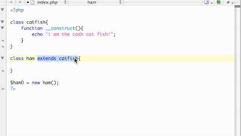 PHP Tutorial - 43 - Inheritance and Constructors