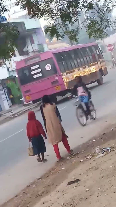 In the morning, the red government bus, number five, free for women, arrived beautifully with a b...