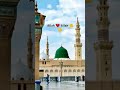 Allah ❤️ Allah Juma 🇵🇰🇵🇰💙 #mewaticulturebyehsansinger Allah 🤲🤲 #mewadsong #rajistanisadisong #answer
