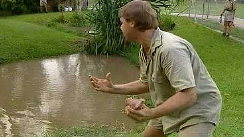 The Crocodile Hunter:Steve's Greatest Crocodile Captures (3/8)