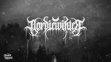 NORDICWINTER - Whispers of the Frozen Abyss (Atmospheric Depressive Black Metal - official video)