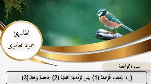 سورة الواقعة كاملة (من مقاصد سورة الواقعة:بيان أحوال العباد يوم المعاد). بصوت القارئ حمزة العامري