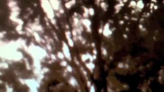 Lantern - Train Song