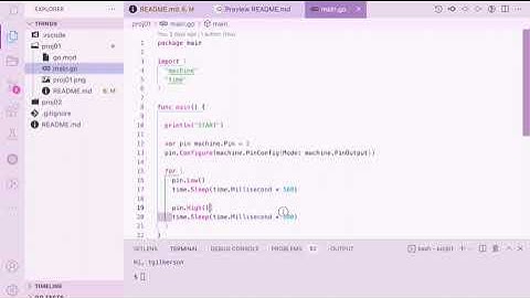 TinyGo ESP32 Hello World
