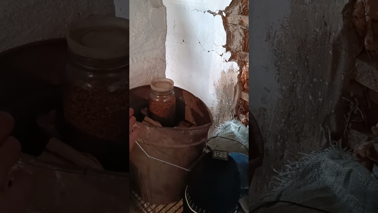 Нужна всего одна бактерия, а мы её убиваем. Всего месяц вместо нескольких лет.