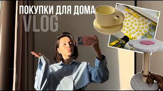 Покупки для дома/ обустраиваю свою квартиру/ VLOG