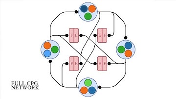 Neuromorphic Closed-Loop Control of a Flexible Modular Robot by a Simulated Spiking CPG