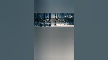 قال سنشد عضدك بأخيك ونجعل لكما سلطانا فلا يصلون إليكما بآياتنا أنتما ومن اتبعكما الغالبون [القصص:٣٥]