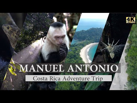 Video: De Beste Boutiquehotellene I Manuel Antonio, Costa Rica