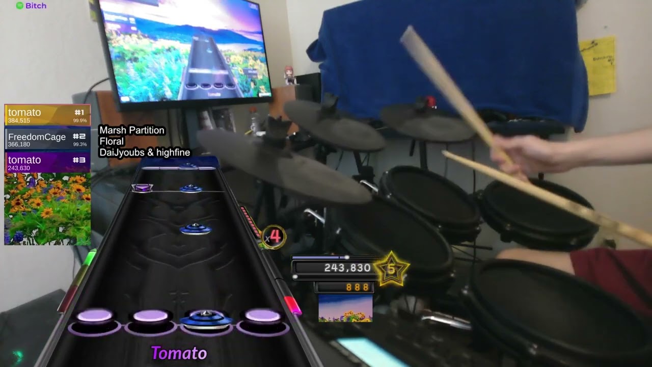 Floral - Marsh Partition (Pro Drums Full Combo) 