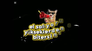 Lvbel c5+crazy frog+remix+ sözler 