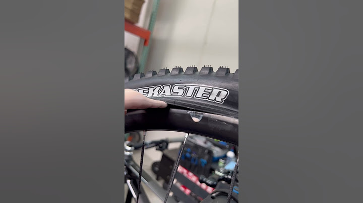 The New Maxxis Forekaster!