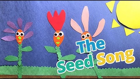 The Seed Song - Sing Along Kids Song - Sing a Story - Circle Time - Mr. Ryan’s Music