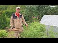 Why All Our Neighbors Quarreled Grand Disputes In Russian Dacha Village Community Why All Our Neighbors Quarreled Grand Disputes In Russian Dacha Village Community