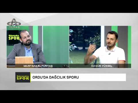 a spor izleyici temsilcisi