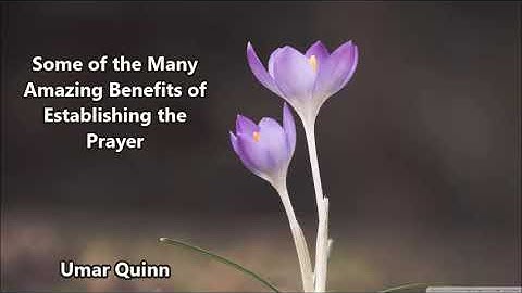 Some of the Many Amazing Benefits of Establishing the Prayer....Umar Quinn